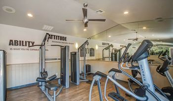 24 Hour multi level cardio and weightlifting center